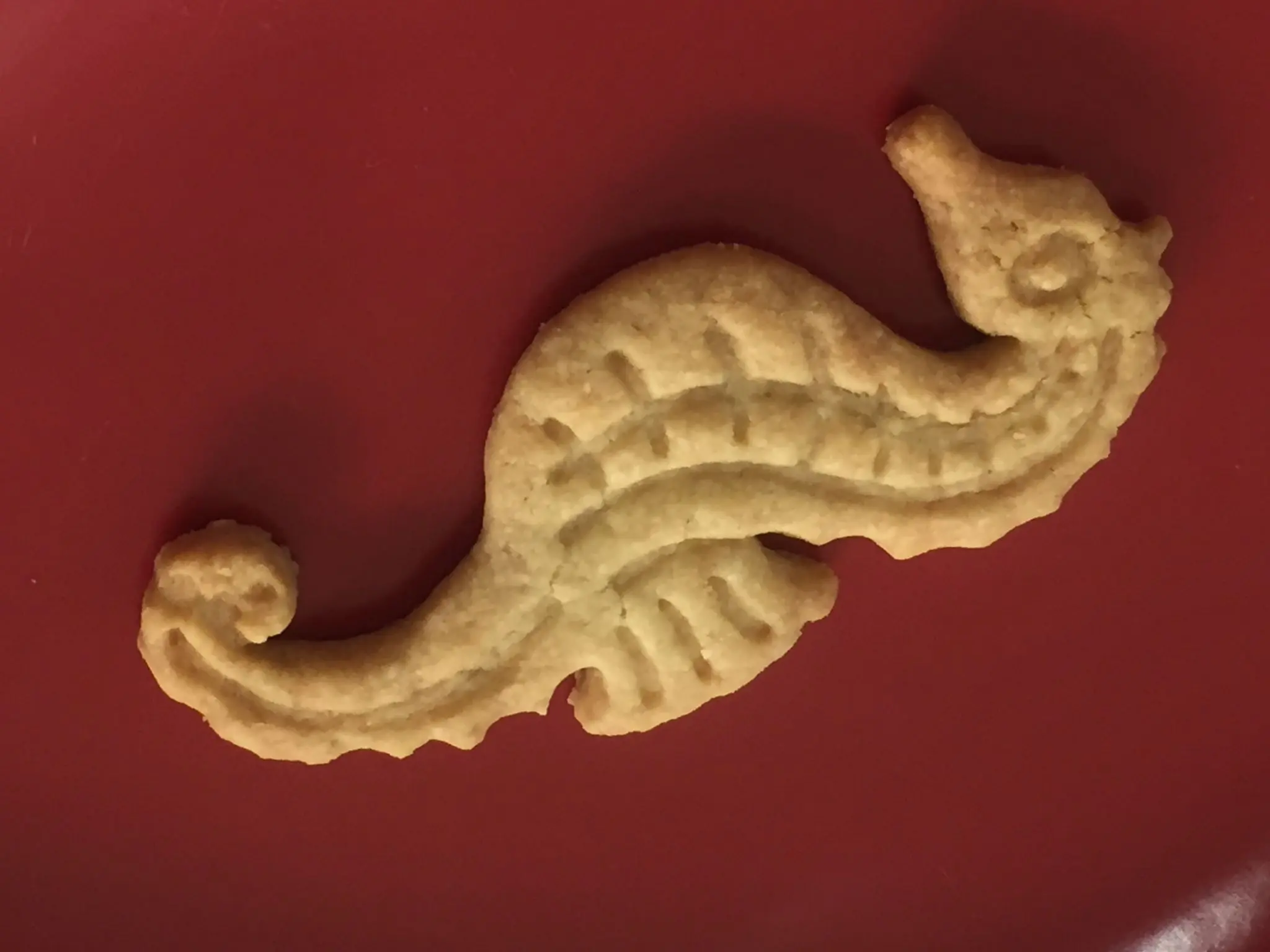 Aniversario Puerto Vallarta